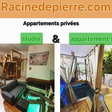 Racine De Pierre Apartment Castres  Ngoại thất bức ảnh